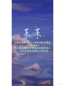 深入了解 老狼信息